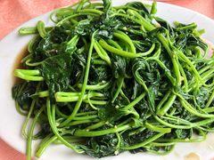 -天强农家菜馆