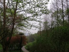 -重庆彩云湖湿地公园