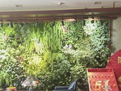 -泽云梵莲花足浴 按摩 SPA(滨湖店)