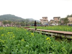 -红山村