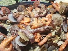 -大锅强·蒸海鲜青岛菜(吾悦广场店)