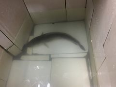 -老马斑鱼店(桂花路店)