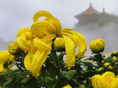 -中国翰园碑林