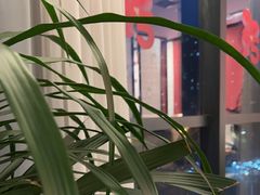 -鸽子侯·家宴·平价海鲜(绿地店)