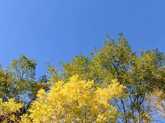 -南翠屏公园