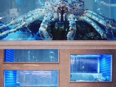 -皇朝尊会(龙之梦大酒店)