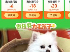 -美联众合动物医院·24h转诊中心