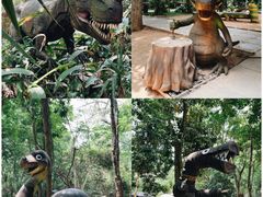 -海南热带野生动植物园