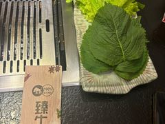 -臻牛烤肉