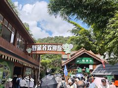 -野象谷景区