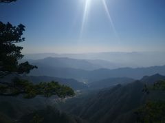 -王顺山国家森林公园