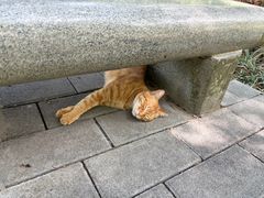 -广州雕塑公园