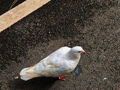 -贵州森林野生动物园