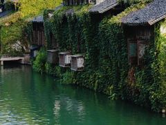-乌镇东栅景区