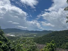 -三亚亚龙湾人间天堂鸟巢度假村