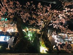 景观位-桂满陇-西湖船宴(西单大悦城店)