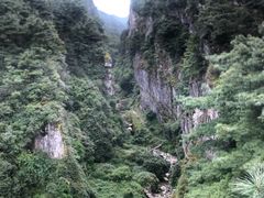 -苍山感通索道
