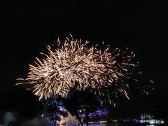 -大塘金香草谷