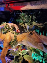 -恐龙探索乐园(磁器口店)