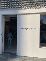 -Hair  Gallery