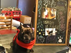 -more than meow吴止猫主题餐厅(承德 中船汇店)