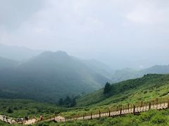 -驼梁风景区