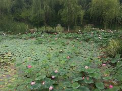 -嬉乐湾休闲旅游区