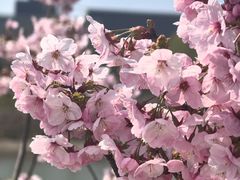 -鑫巴蜀小镇 · 水煮鱼专研店(玉桥店)