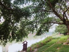 -成都市活水公园