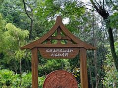 -南宁良凤江国家森林公园