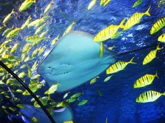 -太平洋海底世界