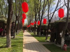 -草根堂农场