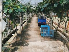 -美家乐农庄·露营·团建(大治路店)