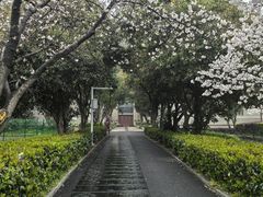 -武汉大学-樱园