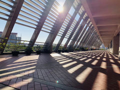 -华侨大学(厦门校区)