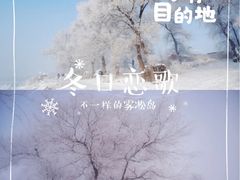 -雾凇岛