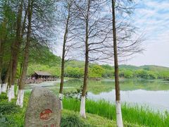 -八卦田遗址公园
