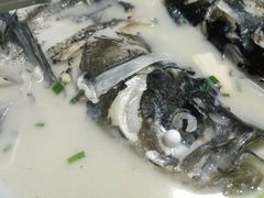 -全乐鱼馆·淳牌有机鱼直营店