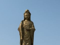 -舟山希尔顿酒店
