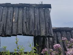 -白草畔自然风景区