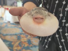 -味雅大酒店