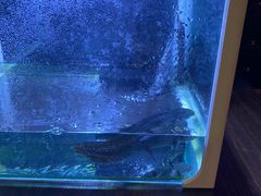 -魔王沉浸式密室(贵阳壹号店)
