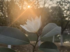 -白塘生态植物园