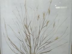 -广东中医药博物馆