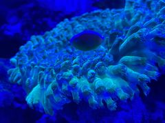 -上和臻品中国菜(花园街店)