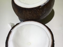 -志龙皇冠吃货椰子铺