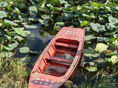 -长春市南湖公园