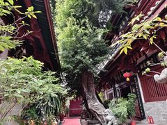 -叩齿古寺