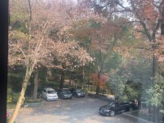 -山外山菜馆(玉泉路店)
