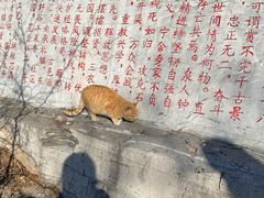 -抱犊寨风景区